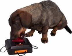 Trixie Dogtoy Dog Activity Strategy Game Gamble Box - Piepend Speelgoed - 15cm X 15cm X 9cm - Zwart/rood/oranje -Hondenspeelgoed Winkel 1200x935 1