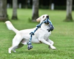 Viervoetjes - BigBoi - XXL - Honden Touw - 90cm - Honden Speelgoed - HondenSpeeltjes - Blauw/Wit/Zwart -Hondenspeelgoed Winkel 1200x958 6