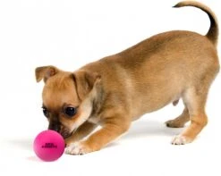 Dog Comets Ball Stardust Roze M 2pack – Honden Bal – Honden Speelgoed – Bal Voor Apporteren Van Uw Hond – Natuurlijk Rubber – Bal Diameter Van 6 Cm 11 Dog Comets Ball Stardust Roze M 2pack – Honden Bal – Honden Speelgoed – Bal Voor Apporteren Van Uw Hond – Natuurlijk Rubber – Bal Diameter Van 6 Cm -Hondenspeelgoed Winkel 1200x959 1