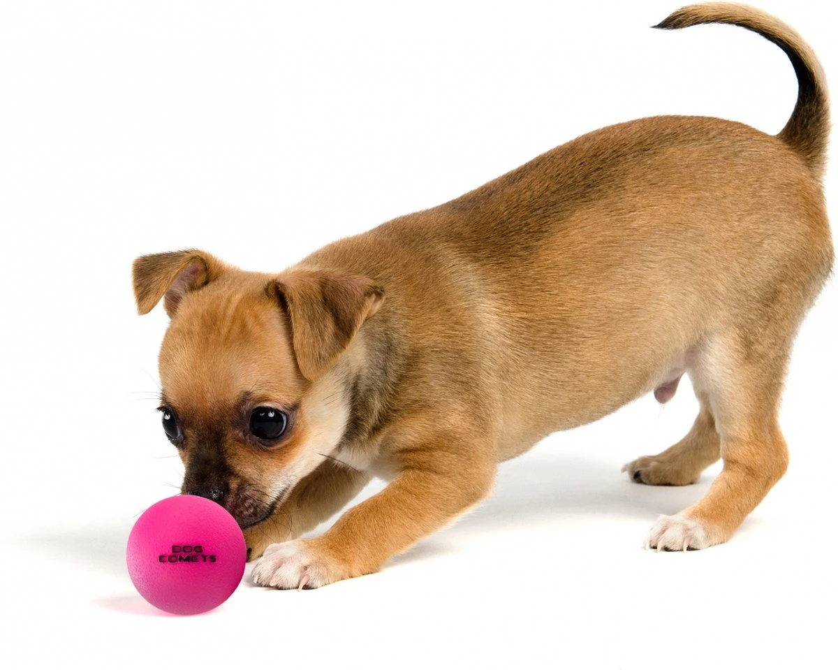 Dog Comets Ball Stardust Roze M 2pack – Honden Bal – Honden Speelgoed – Bal Voor Apporteren Van Uw Hond – Natuurlijk Rubber – Bal Diameter Van 6 Cm 7 Dog Comets Ball Stardust Roze M 2pack – Honden Bal – Honden Speelgoed – Bal Voor Apporteren Van Uw Hond – Natuurlijk Rubber – Bal Diameter Van 6 Cm - Afbeelding 5