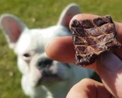 Topdiervoeding Runderlong Hondensnacks - Vers Gedroogd - Knapperig - 1 KG -Hondenspeelgoed Winkel 1200x960 4