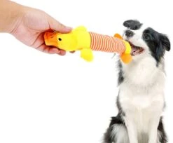 Hiden | Hondenspeelgoed - Pluche - Hondenspeeltjes - Huisdieren - Hondenknuffel | Eend -Hondenspeelgoed Winkel 1200x992 3