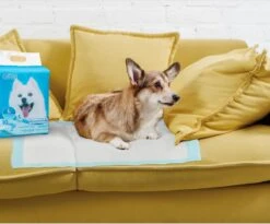 Nobleza 48LXB - Puppy Training Pads - 60 X 90 Cm - Zindelijkheidstraining - 100 Stuks 14 Nobleza 48LXB - Puppy Training Pads - 60 X 90 Cm - Zindelijkheidstraining - 100 Stuks -Hondenspeelgoed Winkel 1200x997 2