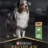 Pro Plan Medium Adult Sensitive Digestion - Honden Droogvoer - Lam - 14 Kg 2 Pro Plan Medium Adult Sensitive Digestion - Honden Droogvoer - Lam - 14 Kg -Hondenspeelgoed Winkel 544x1200