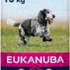 Eukanuba Caring Senior Medium Breed Kip - Hondenvoer - 15 Kg 1 Eukanuba Caring Senior Medium Breed Kip - Hondenvoer - 15 Kg -Hondenspeelgoed Winkel 550x1200
