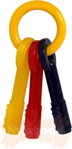 Nylabone Kauwbot - Puppy Kauwspeelgoed - Sleutels Met Baconsmaak - X-Small -Hondenspeelgoed Winkel 581x1200