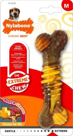 Nylabone Extreme Kauwbot Textuur Met Rund- En Kaassmaak -Hondenspeelgoed Winkel 649x1200 2