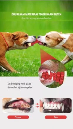 3-in-1 Hondenkauwbot - Gebitsverzorging - IQ Training - Voedsel Afgifte Functie - Geometrisch Ontwerp - Duurzaam & Milieuvriendelijk - Kauwbot - Honden - Hondenbot - Rood -Hondenspeelgoed Winkel 684x1200