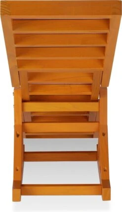 Relaxdays Agility Wip Hond - Hondenwip - Agility Toestel - Behendigheid -Hondenspeelgoed Winkel 691x1200 1