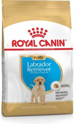 Royal Canin Labrador Retriever Junior 12 KG -Hondenspeelgoed Winkel 717x1200