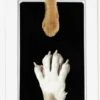 PrintMe - Paw Print Pad - Groter Formaat - Pootafdruk Maken Van Hond Of Kat - Zeer Gemakkelijk - Verbeterd Formaat! - Geen Inkt Op De Poot Van Uw Huisdier- Groot - Leuk Als Cadeau! -Hondenspeelgoed Winkel 750x1200 3