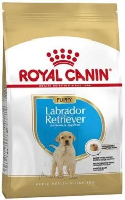 Royal Canin Labrador Retriever Junior 12 KG -Hondenspeelgoed Winkel 750x1200 6