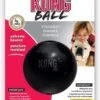 Kong Extreme Bal - Hondenspeelgoed - Zwart - S -Hondenspeelgoed Winkel 771x1200