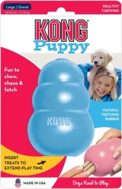 Kong Puppy - Hondenspeelgoed - Assorti - M 29 Kong Puppy - Hondenspeelgoed - Assorti - M -Hondenspeelgoed Winkel 776x1200 2