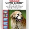 Beaphar Gentle Leader- Medium Maat Zwart | M -Hondenspeelgoed Winkel 790x1200 3
