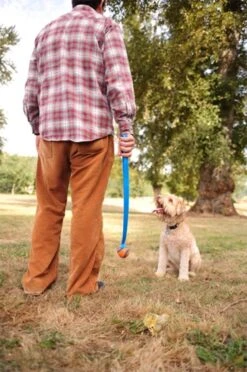 Chuckit! Ultra Ball M – Honden Speelgoed – Hondenbal– Drijft Op Water – Stuitert – Veilig Voor Gebit – Honden Bal – Ideaal Met De Ballenwerper – Ø 6cm – Oranje/Blauw – Hondenspeeltjes– 4-Pack -Hondenspeelgoed Winkel 797x1200 2