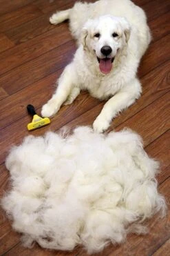 Furminator® Hond Langhaar - Vermindert Haaruitval Tot 90% - Hondenborstel - L -Hondenspeelgoed Winkel 800x1200 3