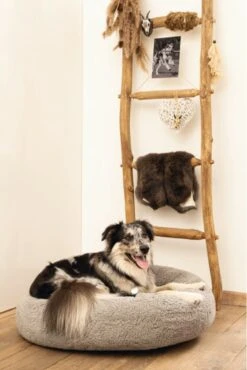 Beeztees Orthopedische Hondenmand Jaxx Grijs 70 Cm - Hond 9 Beeztees Orthopedische Hondenmand Jaxx Grijs 70 Cm - Hond -Hondenspeelgoed Winkel 801x1200 1