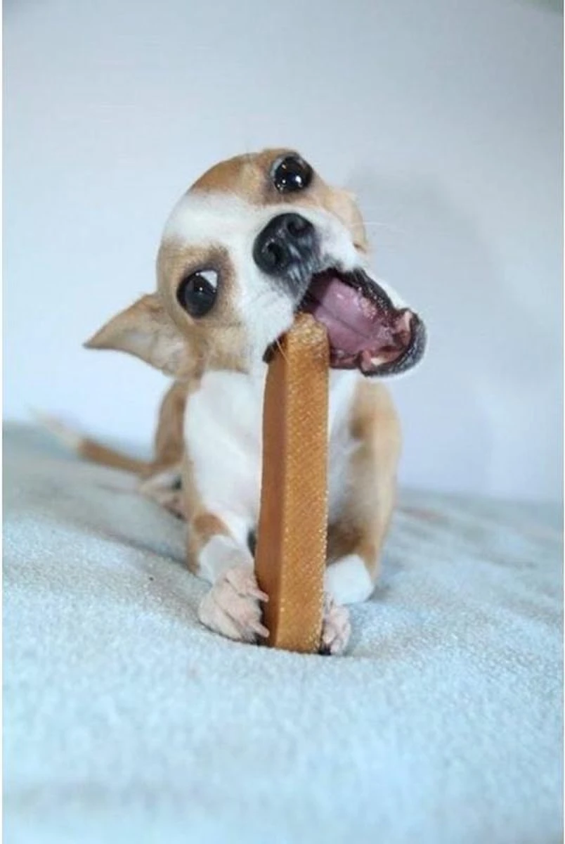 Coucour - Yak Kaas - Hondensnacks - Himalayan Cheese Bone - Medium 70Gram 4 Coucour - Yak Kaas - Hondensnacks - Himalayan Cheese Bone - Medium 70Gram - Afbeelding 2