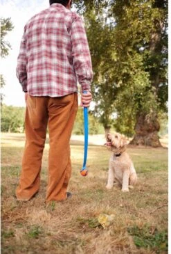 Chuckit! Chuckit Pro Ball - Werpstok - Apporteren- 25m Ver - 63 Cm -Hondenspeelgoed Winkel 813x1200 1