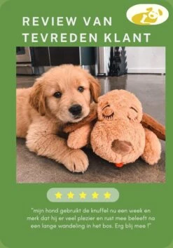 Woefie Hondenknuffel Met Hartslag - Puppyknuffel - Pluche- Puppy Speelgoed- Snuggle Puppy Xl- Knuffel Hond- Baby Knuffel- Knuffel Met Hartslag - Moederhond - Gratis E-Boek - Gratis Schroevendraaier 16 Woefie Hondenknuffel Met Hartslag - Puppyknuffel - Pluche- Puppy Speelgoed- Snuggle Puppy Xl- Knuffel Hond- Baby Knuffel- Knuffel Met Hartslag - Moederhond - Gratis E-Boek - Gratis Schroevendraaier -Hondenspeelgoed Winkel 840x1200 5