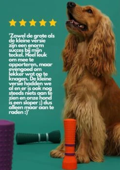 Furmey Zoomies - Honden Speelgoed - Hondenspeeltjes - Kauwbotten Hond - S Groen - 17 Cm 13 Furmey Zoomies - Honden Speelgoed - Hondenspeeltjes - Kauwbotten Hond - S Groen - 17 Cm -Hondenspeelgoed Winkel 848x1200 2