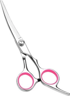 Professor Q - Hondenschaar Krom - Krommende Hondenschaar Rechts - Professionele Hondenschaar -Hondenspeelgoed Winkel 875x1200