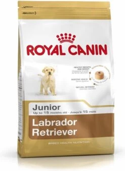 Royal Canin Labrador Retriever Junior 12 KG -Hondenspeelgoed Winkel 876x1200 1