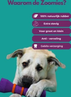 Furmey Zoomies - Honden Speelgoed - Hondenspeeltjes - Kauwbotten Hond - S Groen - 17 Cm 17 Furmey Zoomies - Honden Speelgoed - Hondenspeeltjes - Kauwbotten Hond - S Groen - 17 Cm -Hondenspeelgoed Winkel 886x1200 2