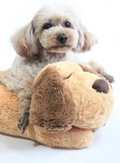 Merkloos Knuffel Met Hartslag Speciaal Voor Puppy's - Snuggle Heart Beat Puppy - Hartslagknuffel - Pluche -Hondenspeelgoed Winkel 888x1200