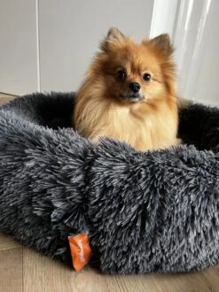 Happysnoots Hondenmand Met Rits - 80cm - Hondenbed - Donut Dog Bed - Fluffy - Grijs - Wasbaar 25 Happysnoots Hondenmand Met Rits - 80cm - Hondenbed - Donut Dog Bed - Fluffy - Grijs - Wasbaar -Hondenspeelgoed Winkel 899x1200 8
