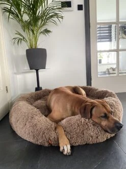 Happysnoots Hondenmand Met Rits - 80cm - Hondenbed - Donut Dog Bed - Fluffy - Grijs - Wasbaar 29 Happysnoots Hondenmand Met Rits - 80cm - Hondenbed - Donut Dog Bed - Fluffy - Grijs - Wasbaar -Hondenspeelgoed Winkel 899x1200 9