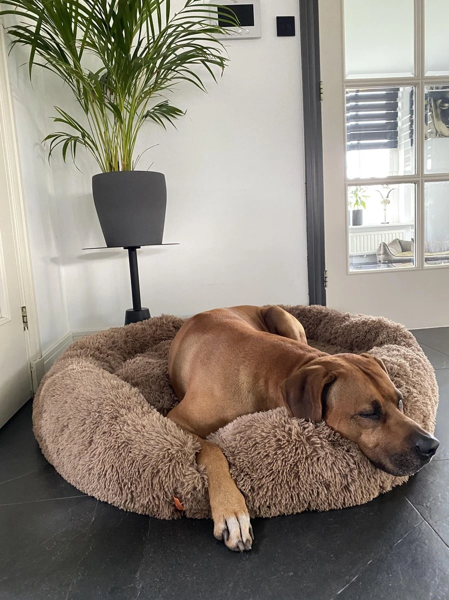 Happysnoots Hondenmand Met Rits - 80cm - Hondenbed - Donut Dog Bed - Fluffy - Grijs - Wasbaar 16 Happysnoots Hondenmand Met Rits - 80cm - Hondenbed - Donut Dog Bed - Fluffy - Grijs - Wasbaar - Afbeelding 14
