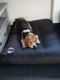 Hondenkussen XXXL -Donkergrijs - 85 X 120 X 14 -Hondenspeelgoed Winkel 900x1200 10