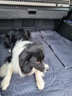 Luxe Hondendeken 200 X 150 Cm Auto Achterbank Kofferbak Vuilafstotend & Beschermend 8 Luxe Hondendeken 200 X 150 Cm Auto Achterbank Kofferbak Vuilafstotend & Beschermend -Hondenspeelgoed Winkel 900x1200 13