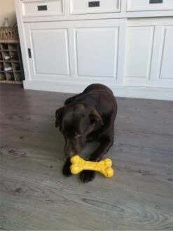 Nylabone Extreme Kauwbot Met Kaassmaak - Voor De Krachtigste Kauwers - Vulbaar Met Smeersels Zoals Pindakaas - XS/M/L - Large 15 Nylabone Extreme Kauwbot Met Kaassmaak - Voor De Krachtigste Kauwers - Vulbaar Met Smeersels Zoals Pindakaas - XS/M/L - Large -Hondenspeelgoed Winkel 900x1200 14