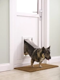 Petsafe 660 Hondenluik - Tot 100 Kg - Aluminium -Hondenspeelgoed Winkel 900x1200 21