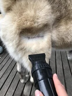 Waterblazer Hond - Hondendroger 14 Waterblazer Hond - Hondendroger -Hondenspeelgoed Winkel 900x1200 3