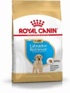 Royal Canin Labrador Retriever Junior 12 KG