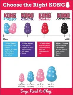 Kong Puppy - Hondenspeelgoed - Assorti - M 28 Kong Puppy - Hondenspeelgoed - Assorti - M -Hondenspeelgoed Winkel 917x1200 1