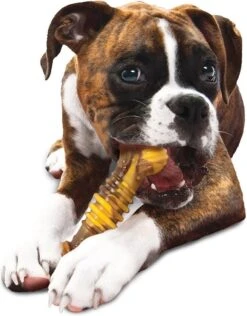 Nylabone Extreme Kauwbot Textuur Met Rund- En Kaassmaak -Hondenspeelgoed Winkel 937x1200 5
