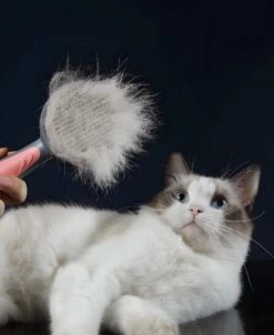 Pakeway T9 - Kattenborstel - Zelfreinigende Kattenkam - Groen - Massageborstel - 19,3 Cm 22 Pakeway T9 - Kattenborstel - Zelfreinigende Kattenkam - Groen - Massageborstel - 19,3 Cm -Hondenspeelgoed Winkel 983x1200