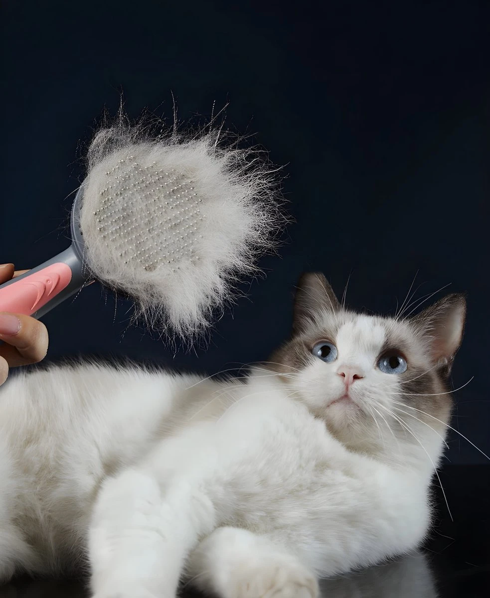 Pakeway T9 - Kattenborstel - Zelfreinigende Kattenkam - Groen - Massageborstel - 19,3 Cm 12 Pakeway T9 - Kattenborstel - Zelfreinigende Kattenkam - Groen - Massageborstel - 19,3 Cm - Afbeelding 10