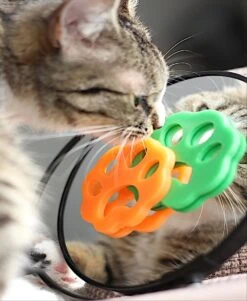 Merkloos Haarverwijderaar Huisdieren - 4 Stuks - Haarverwijderaar Wasmachine - Kattenhaar Verwijderaar - Hondenhaar Verwijderaar - Dierenborstel - 4 Stuks -Hondenspeelgoed Winkel 986x1200